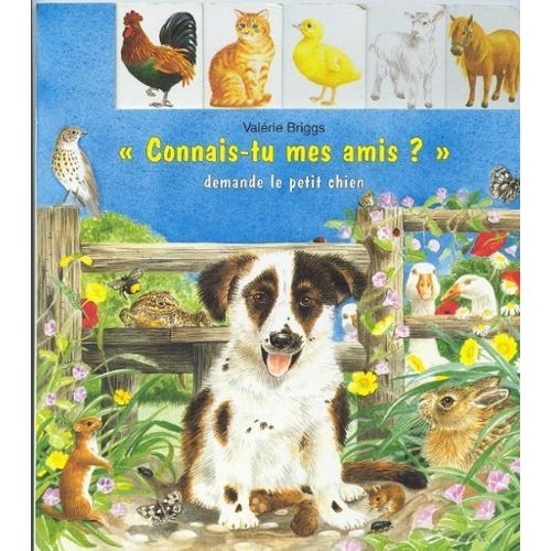 "Connais-tu mes amis?" demande le petit chien - Click to enlarge picture.