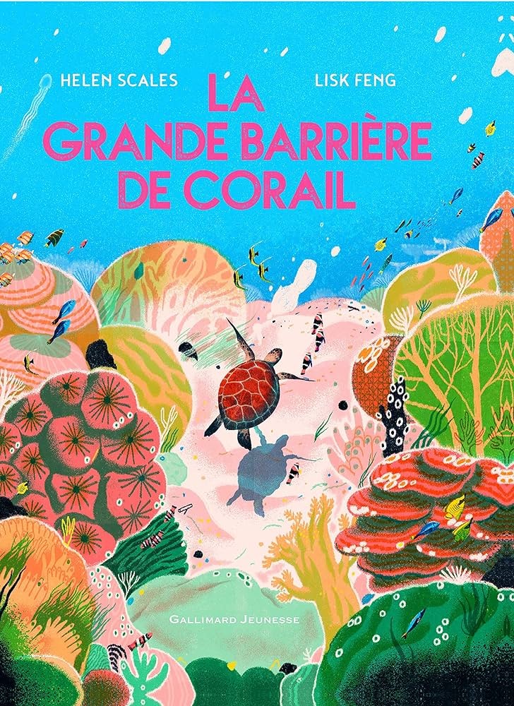 La grande barrière de corail - Click to enlarge picture.