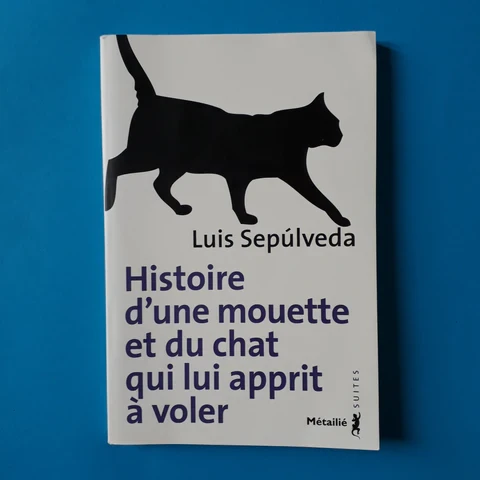 Histoire d'une mouette et du chat qui lui apprit a voler - Click to enlarge picture.