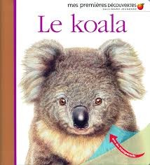 Le koala - Click to enlarge picture.